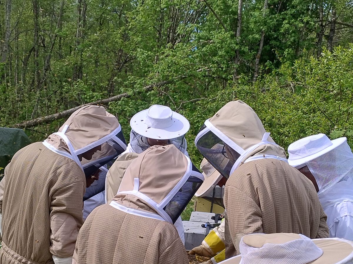 Beekeepers in full protective suits inspecting a hive together