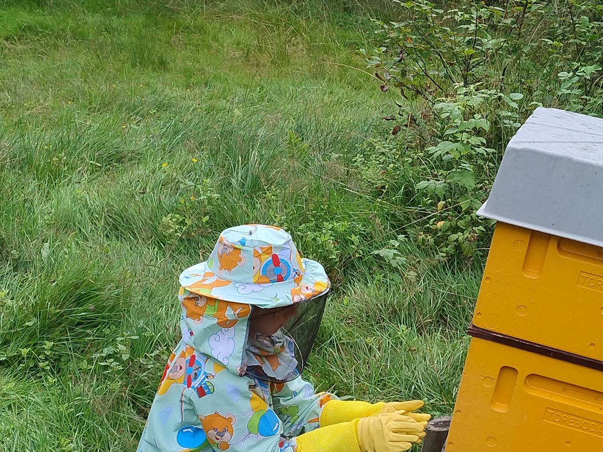 A child in a beekeeping suit and gloves helping out at the hives