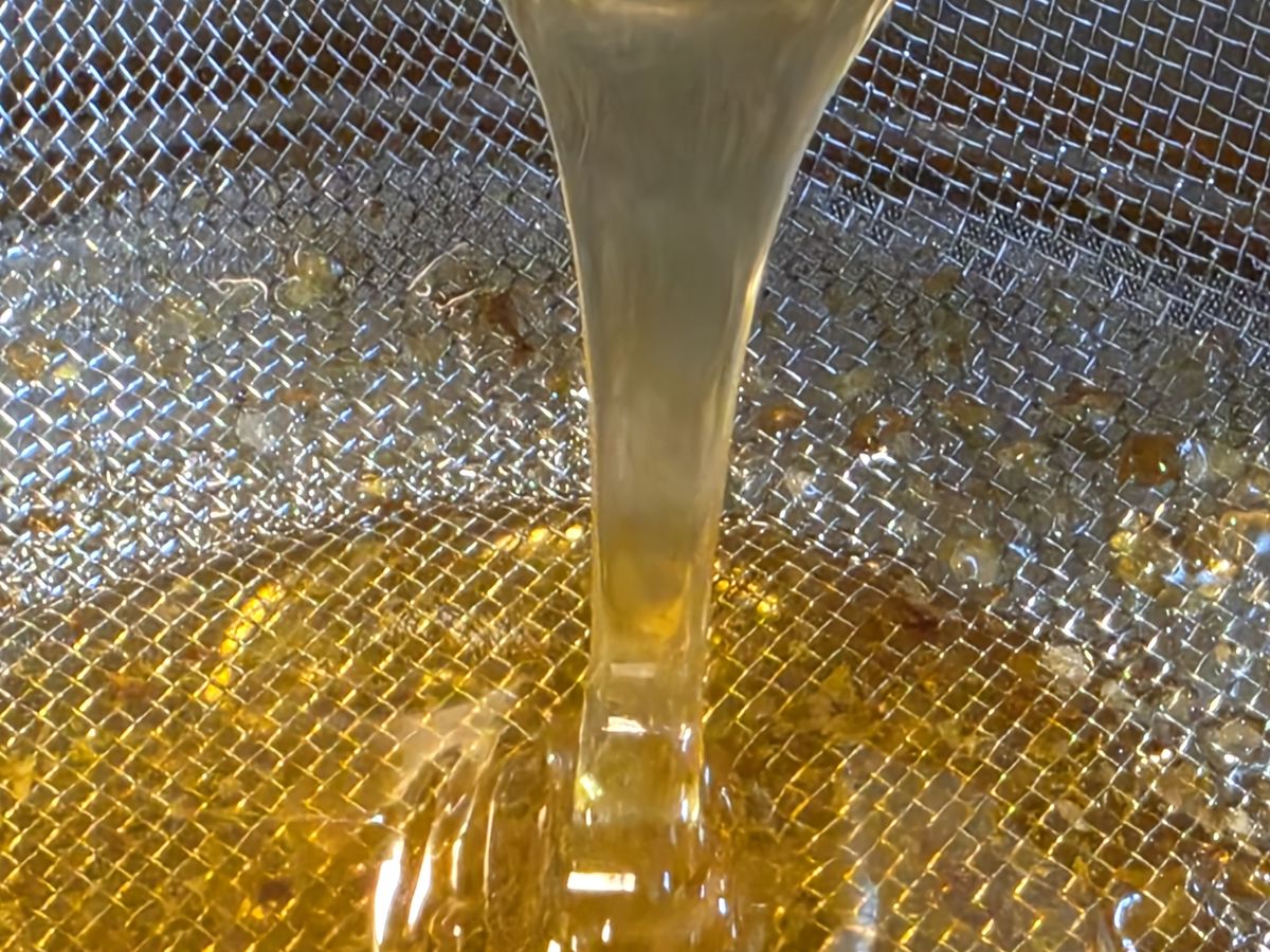 Fresh honey being strained through a mesh sieve after extraction