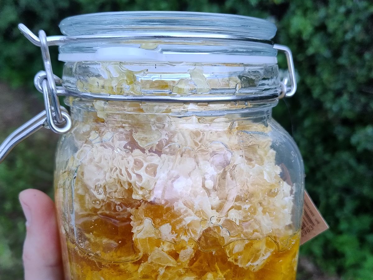 A jar packed with raw honeycomb straight from the hive, held up outdoors