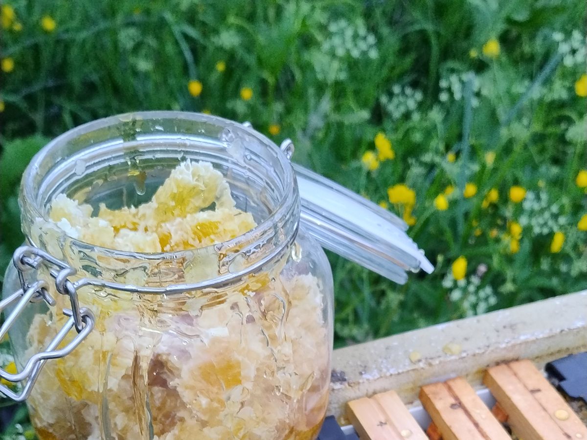 A jar of fresh honeycomb resting on the hive box among the flowering meadow